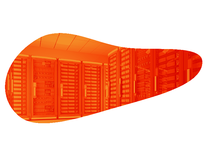 Network Management