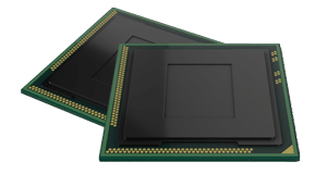 Technology Advisory